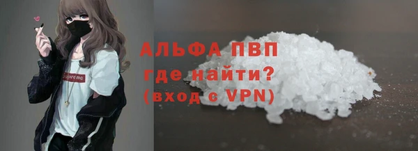 ПСИЛОЦИБИНОВЫЕ ГРИБЫ Козловка