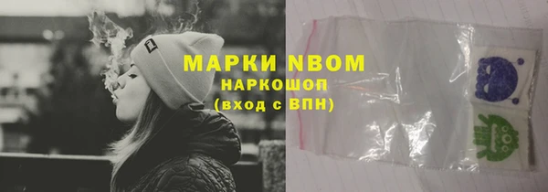 ПСИЛОЦИБИНОВЫЕ ГРИБЫ Козловка